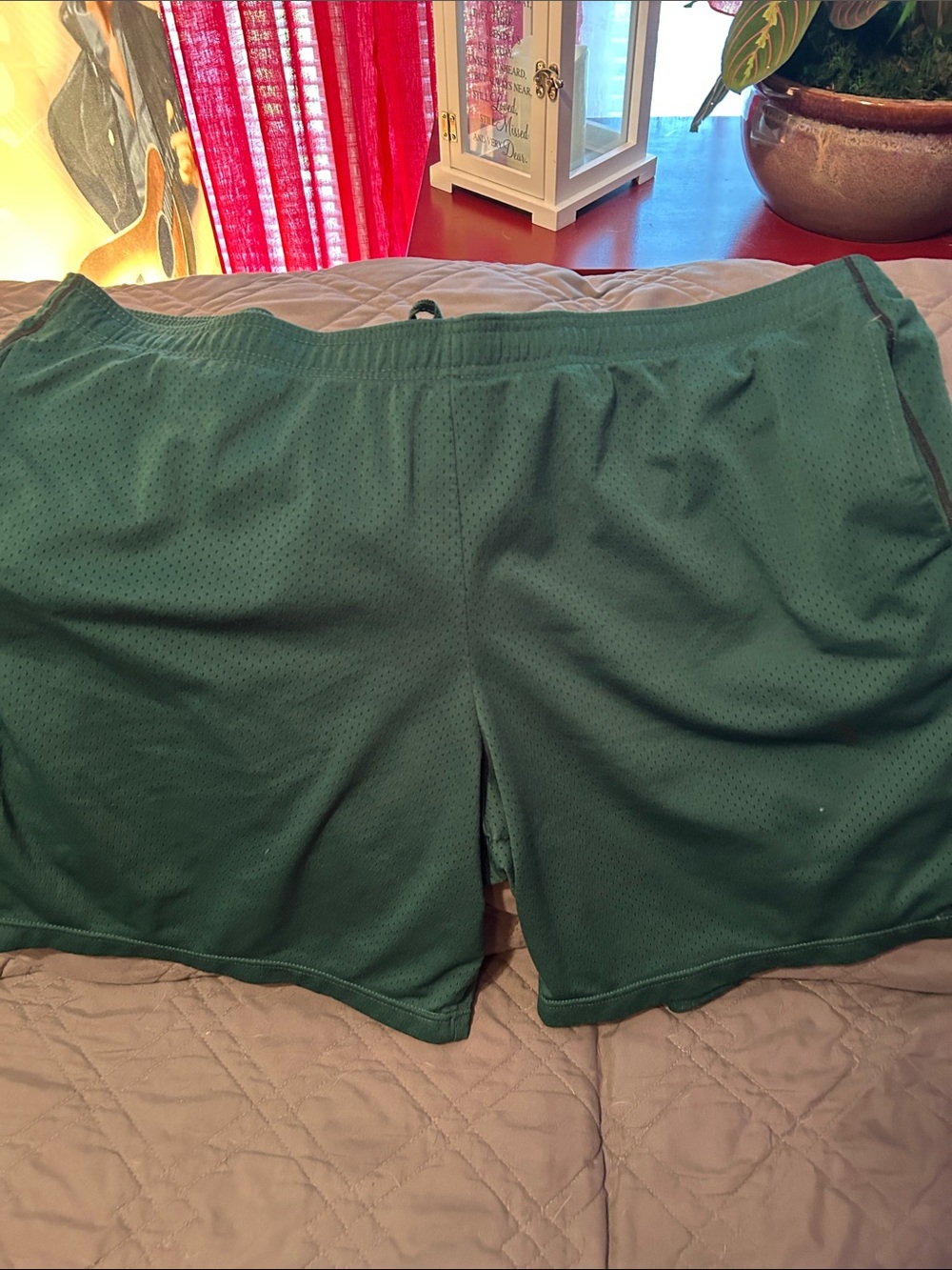 C9 by Champion Men's Athletic Mesh Shorts - Dark Green